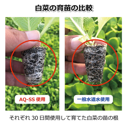 アクアビュル　ガーデン