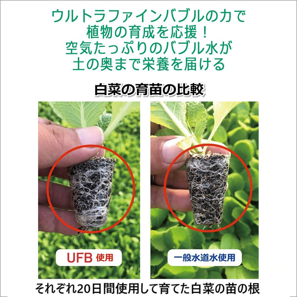 アクアビュル　インライン４