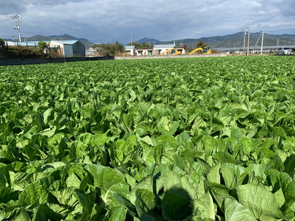 アクアビュル　ガーデン